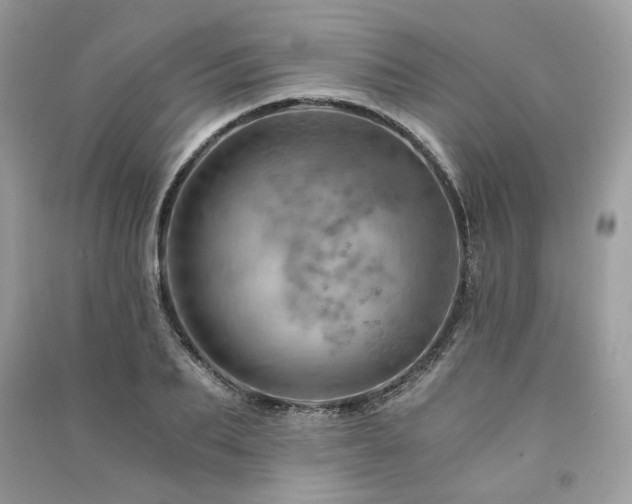 X0000091360887200708101417