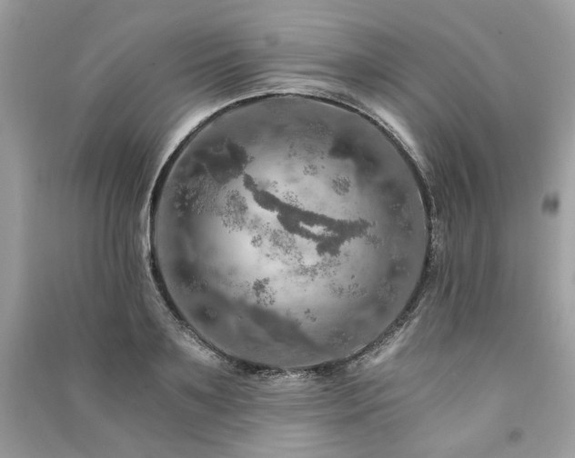 X0000091360891200708101417