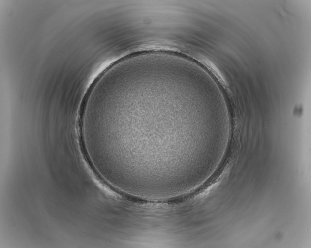 X0000091360893200708101417