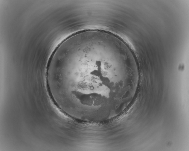 X0000091360895200708101417