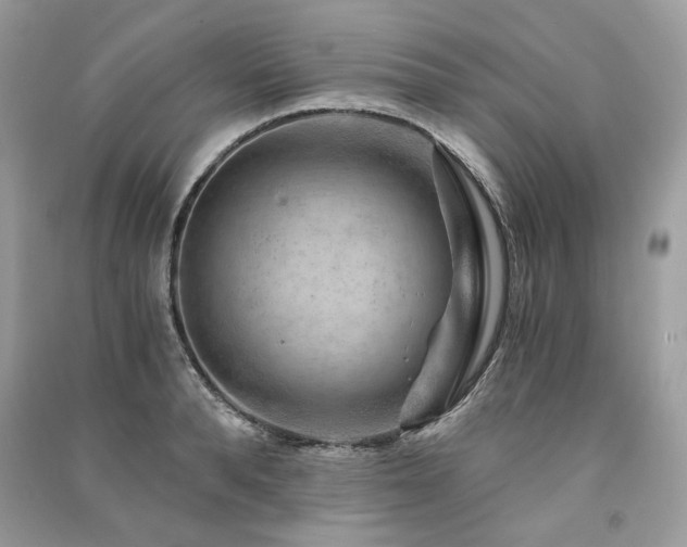X0000091360896200708101417