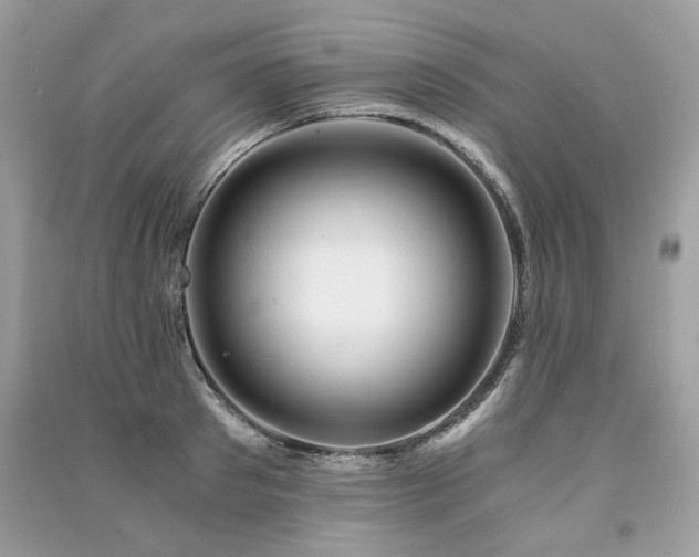 X0000091360897200708101417