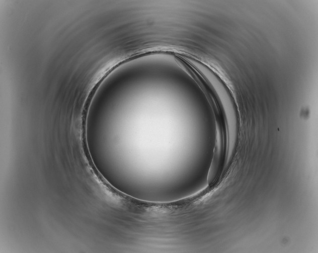 X0000091360898200708101417