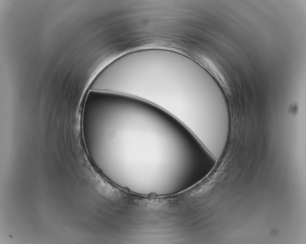 X0000091360900200708101417