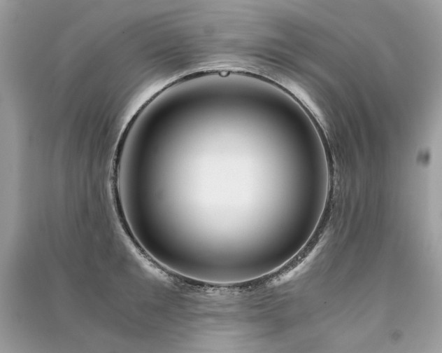 X0000091360901200708101417