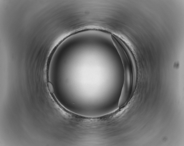 X0000091360902200708101417