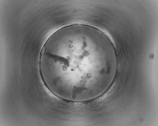 X0000091360903200708101417