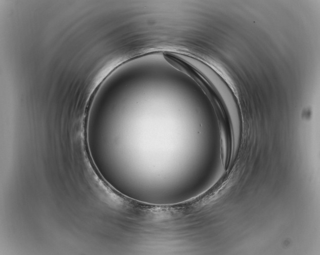 X0000091360906200708101417