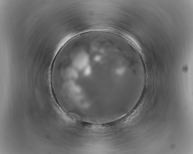 X0000091360907200708101417