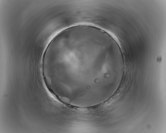 X0000091360911200708101417