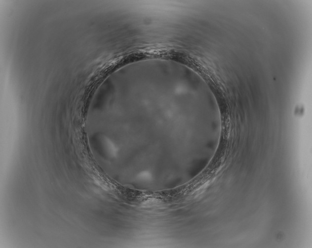 X0000091360913200708101416
