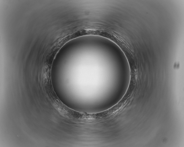 X0000091360914200708101416