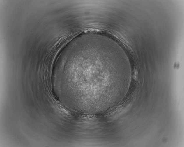 X0000091360915200708101416