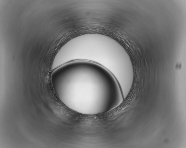 X0000091360916200708101416