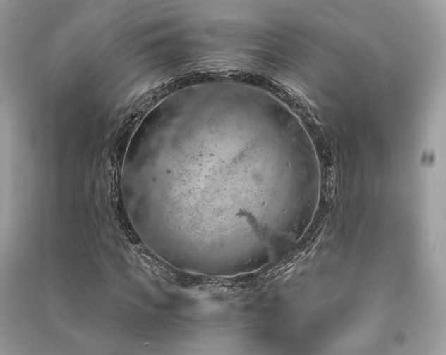X0000091360917200708101416