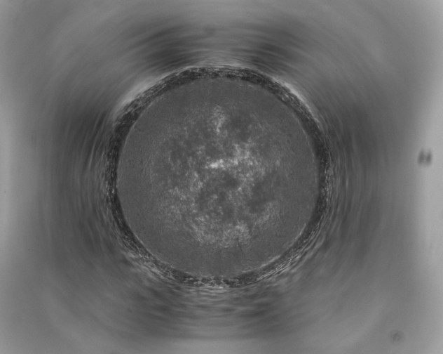 X0000091360919200708101416