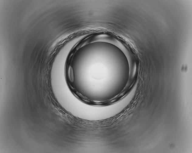 X0000091360920200708101416