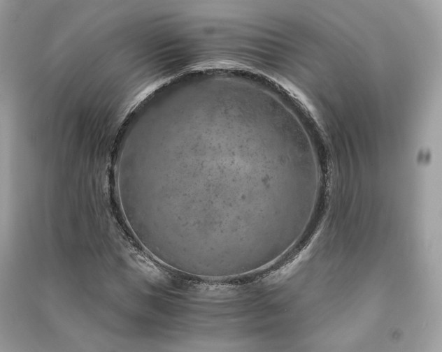 X0000091360921200708101416
