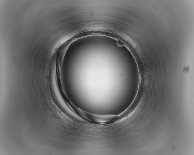 X0000091360922200708101416