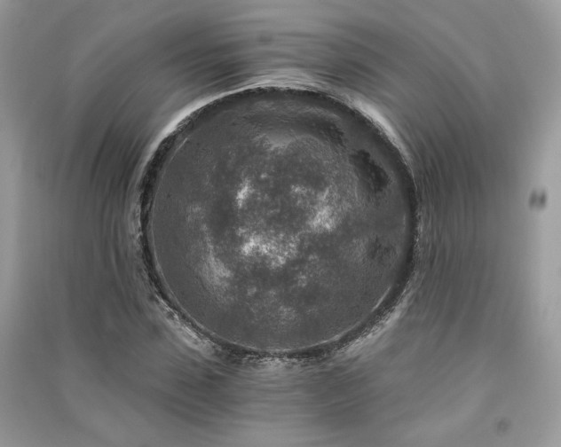 X0000091360923200708101416