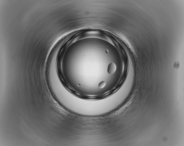 X0000091360924200708101416