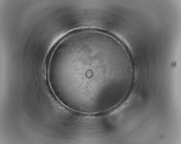 X0000091360925200708101416