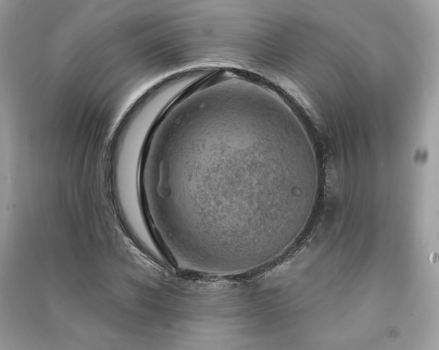 X0000091360926200708101416