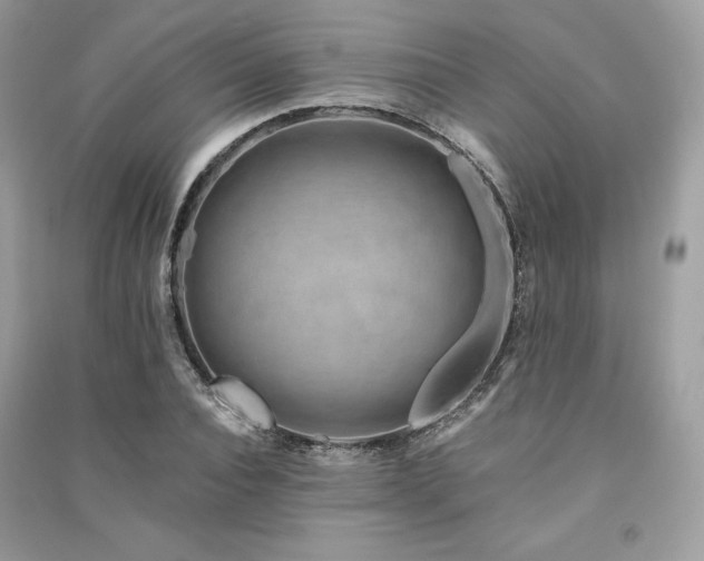 X0000091360928200708101416