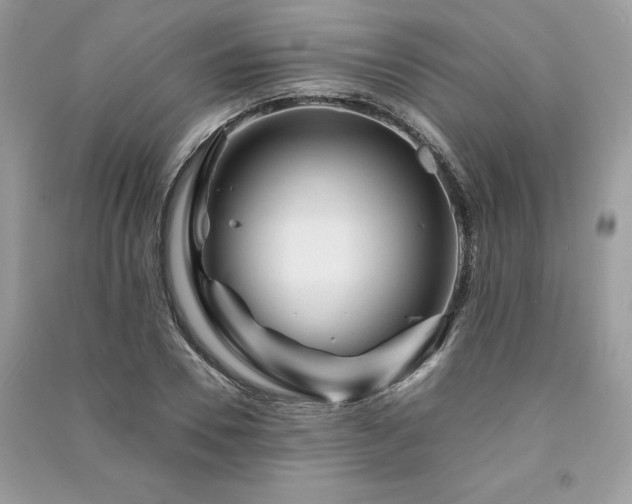 X0000091360930200708101416
