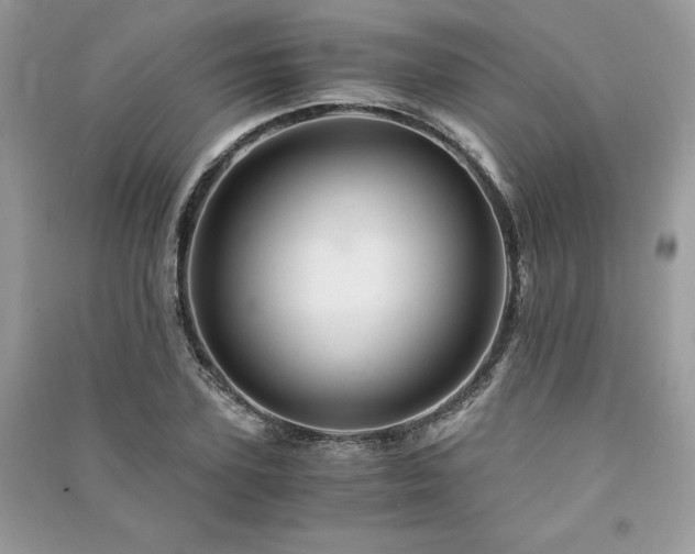 X0000091360931200708101416