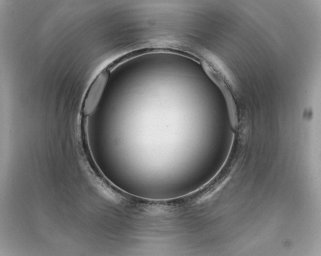 X0000091360932200708101416