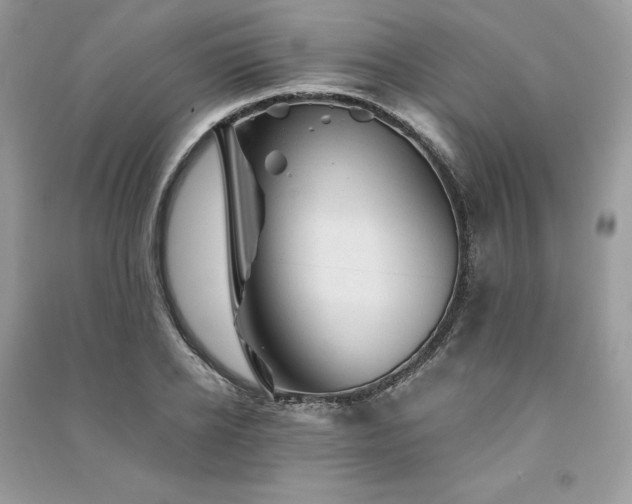 X0000091360934200708101416