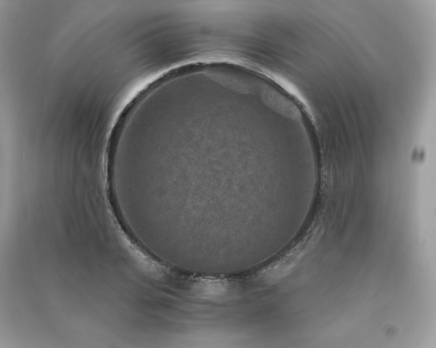X0000091360935200708101416