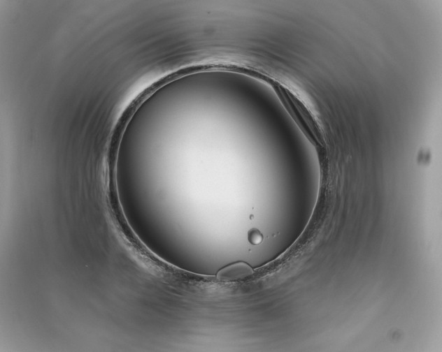 X0000091360936200708101416