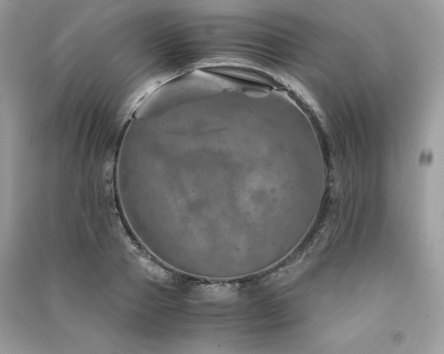 X0000091360937200708101416