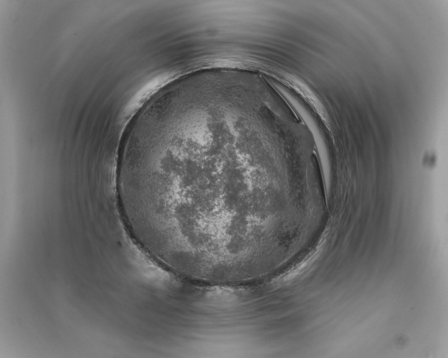 X0000091360938200708101416