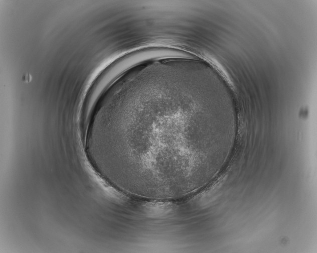 X0000091360939200708101416