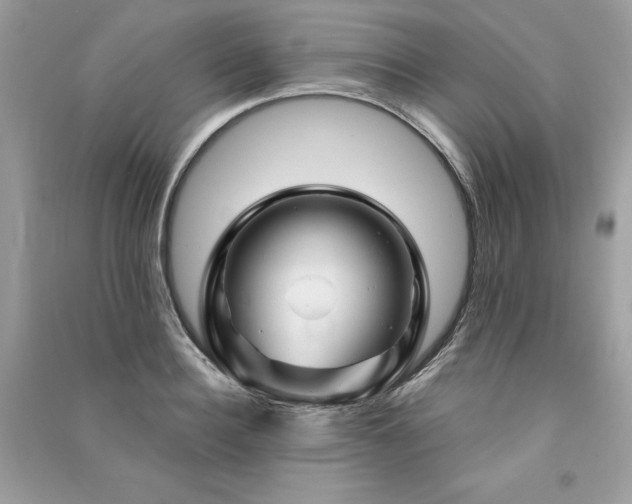 X0000091360940200708101416