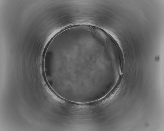 X0000091360941200708101416