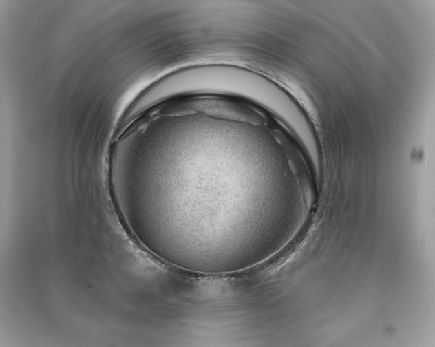 X0000091360944200708101416
