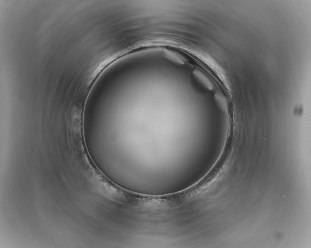X0000091360945200708101416
