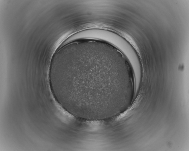 X0000091360946200708101416