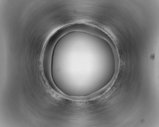 X0000091360948200708101416