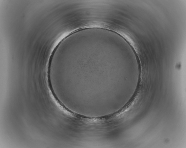 X0000091360949200708101416