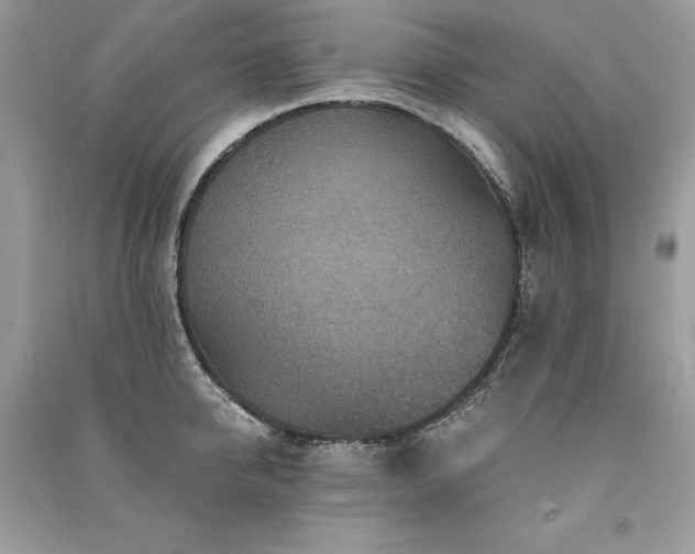 X0000091360950200708101416