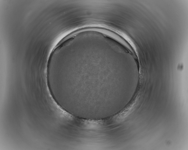 X0000091360951200708101417