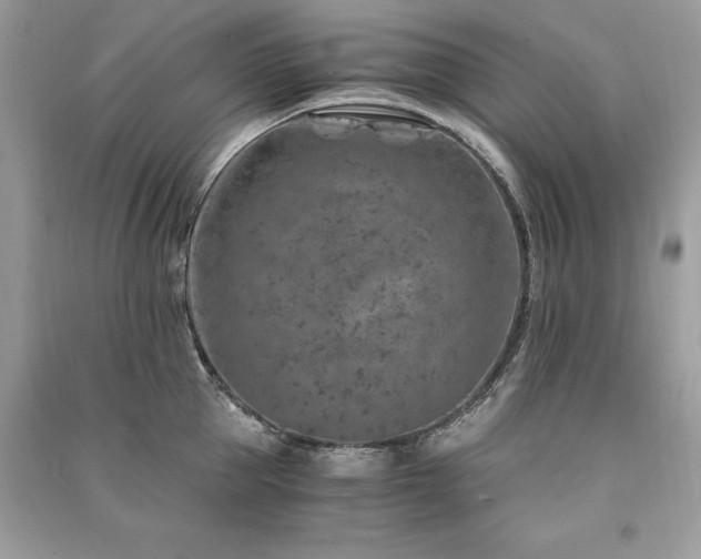 X0000091360953200708101417