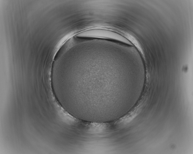 X0000091360954200708101417