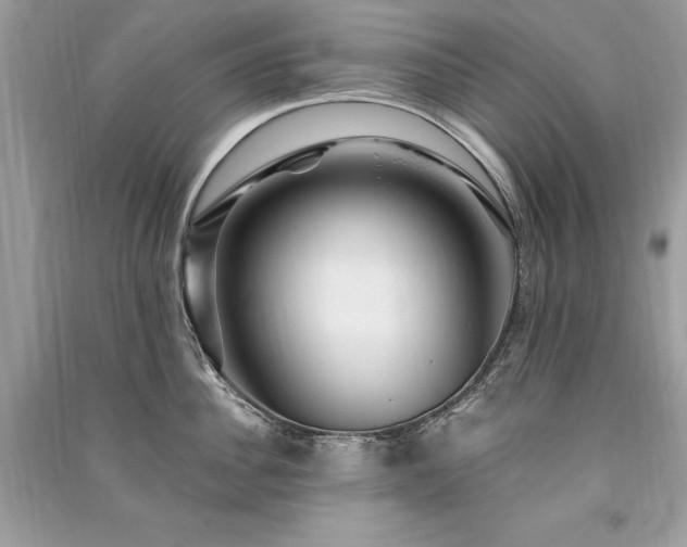 X0000091360956200708101417