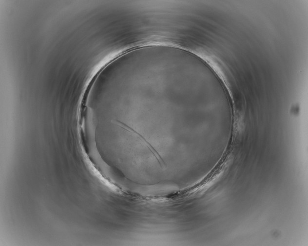X0000091360957200708101417